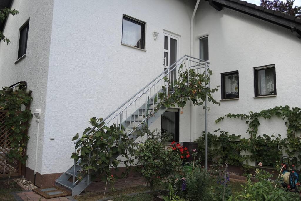 Apartement Am Kirschbaum Mommenheim Exterior photo