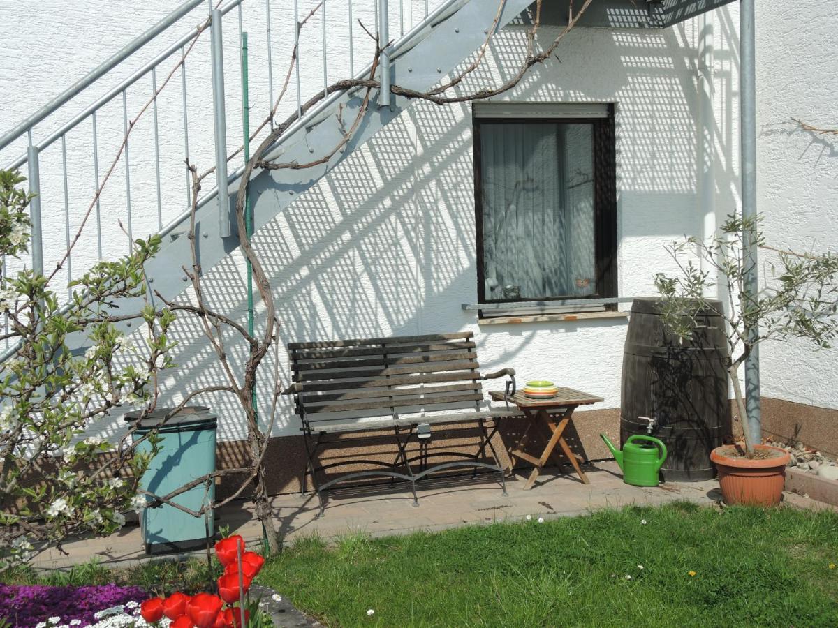 Apartement Am Kirschbaum Mommenheim Exterior photo